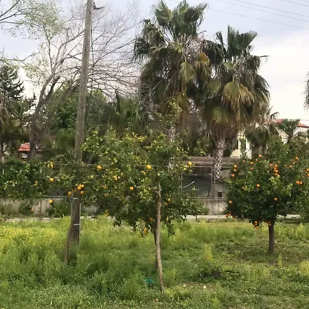 Kumsal Apart Case de vacanță *
